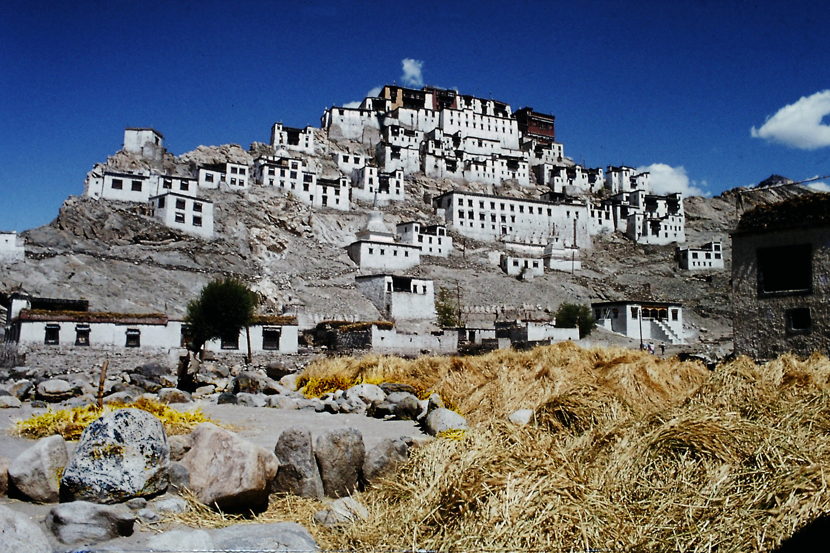 Thiksey Monastery - Ladakh -
