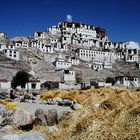 Thiksey Monastery - Ladakh -