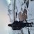 thimo_s
