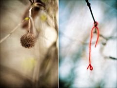 Things in trees