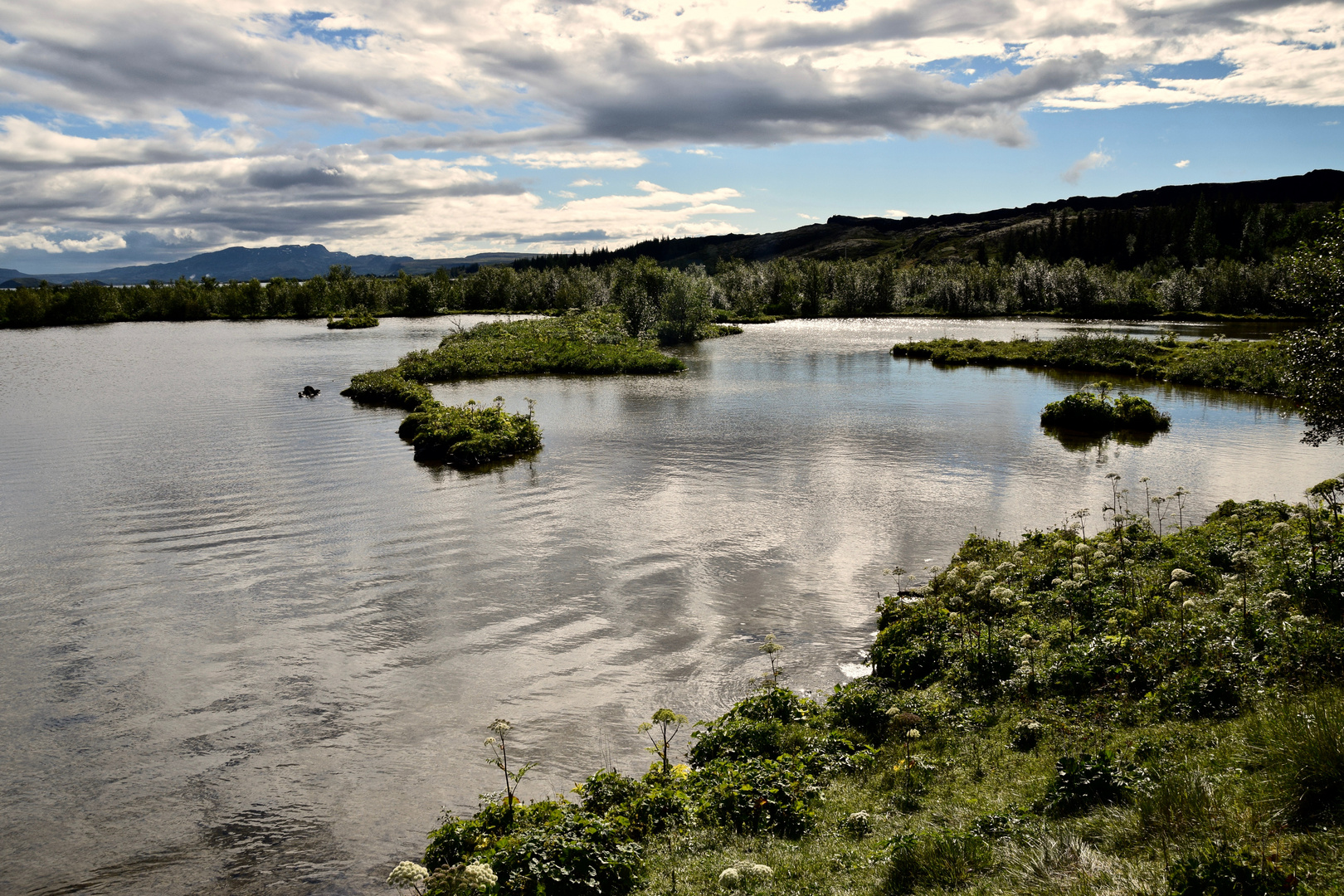 thingvallavatn, Island