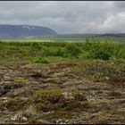 Thingvellir #1