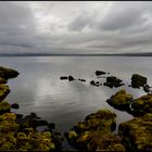 thingvellir 2