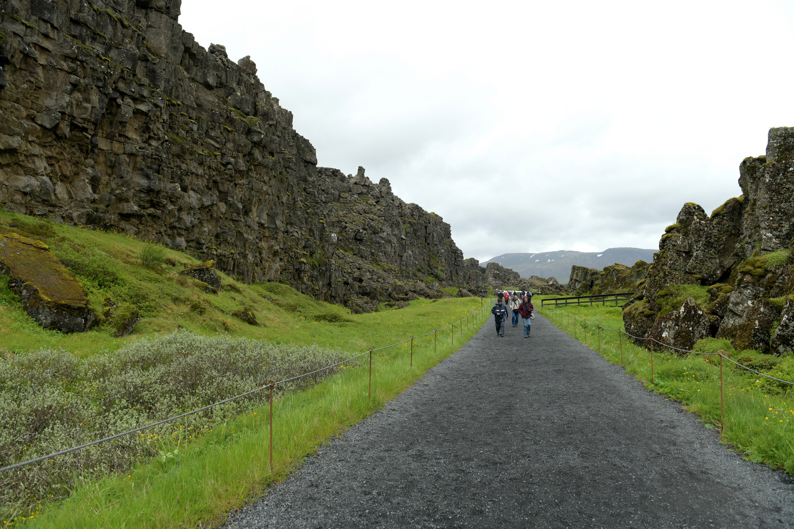 Thingvellir 3