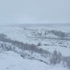 Thingvellir