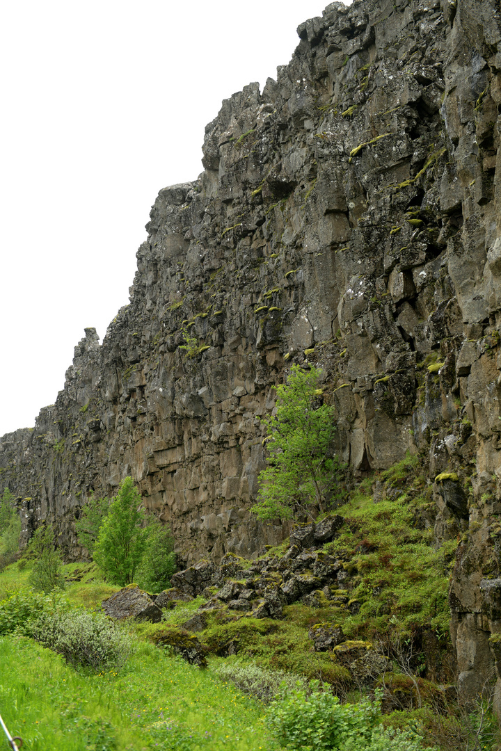 Thingvellir 4