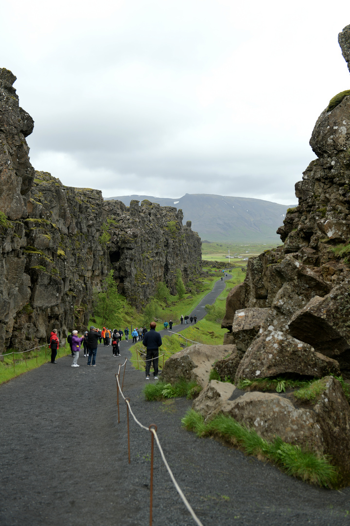 Thingvellir 5