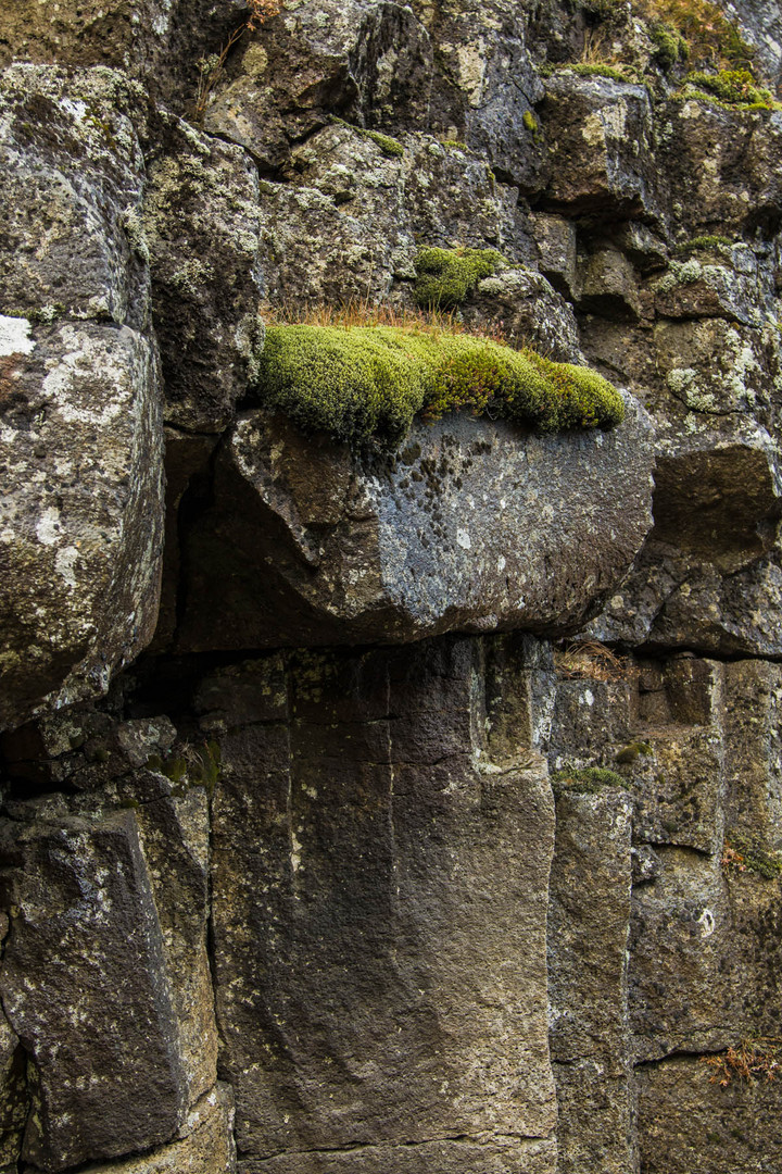 Thingvellir - Iceland