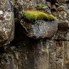 Thingvellir - Iceland