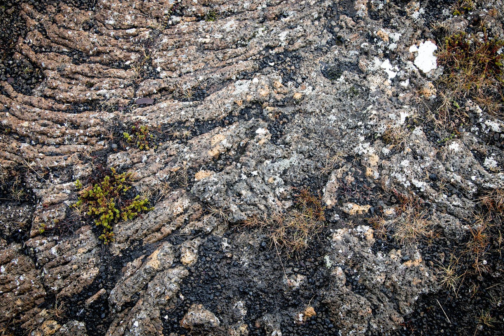 Thingvellir - Iceland