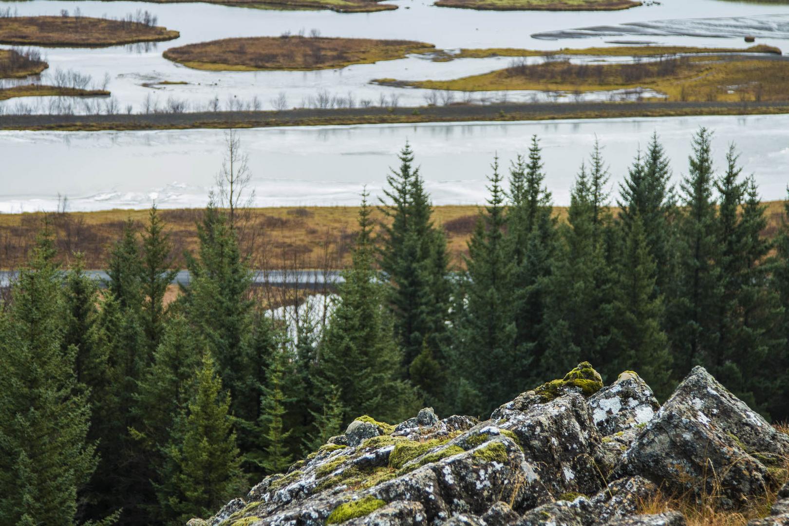 Thingvellir - Iceland