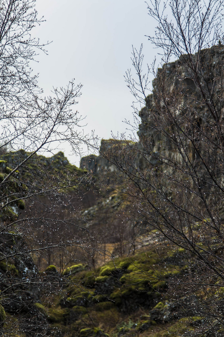 Thingvellir - Iceland