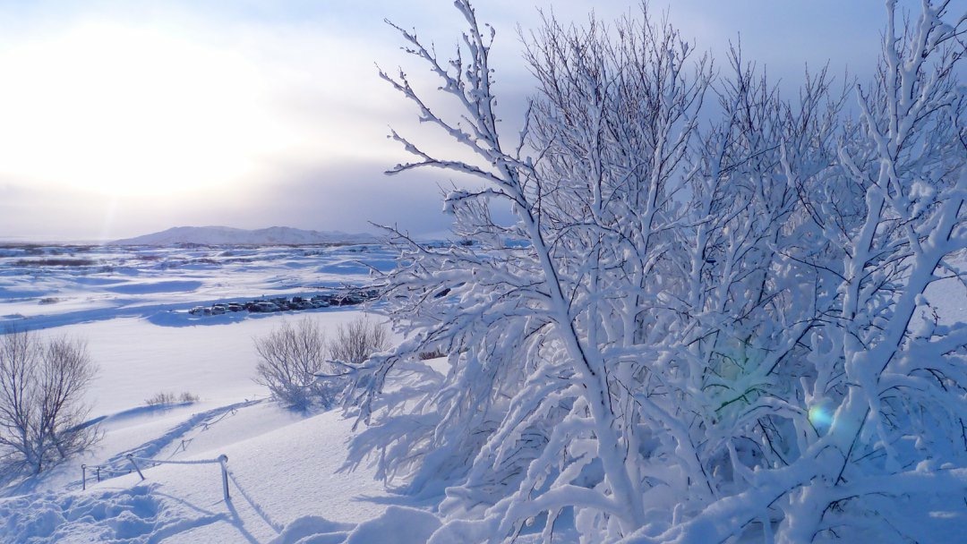 Thingvellir Nationalpark, Iceland