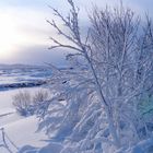 Thingvellir Nationalpark, Iceland