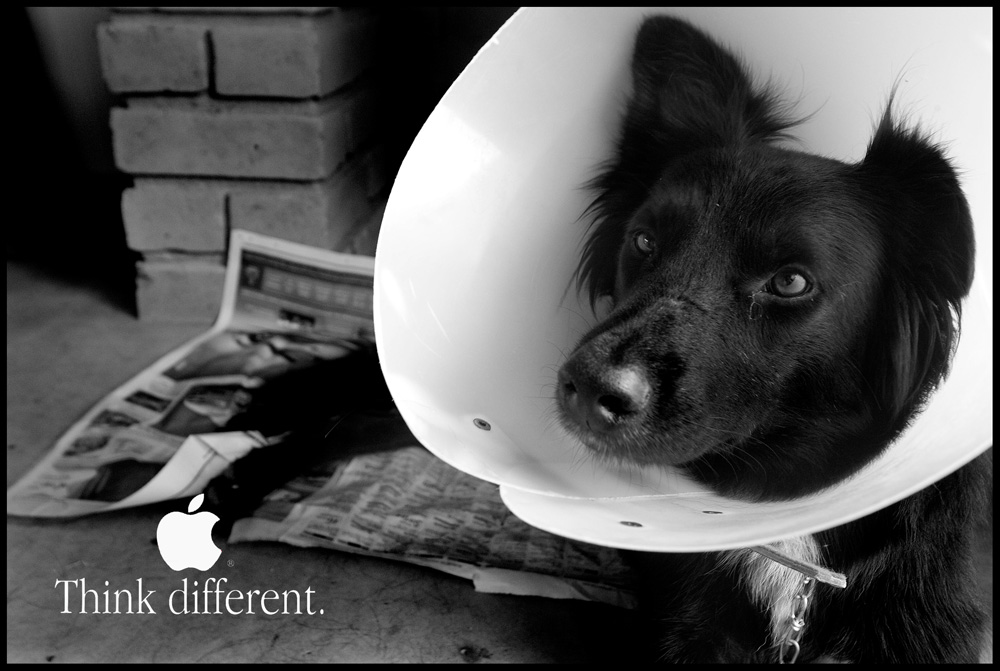 Think Different.