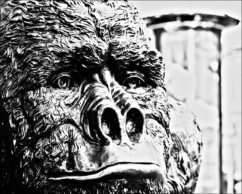 Think Kong