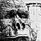 Think Kong