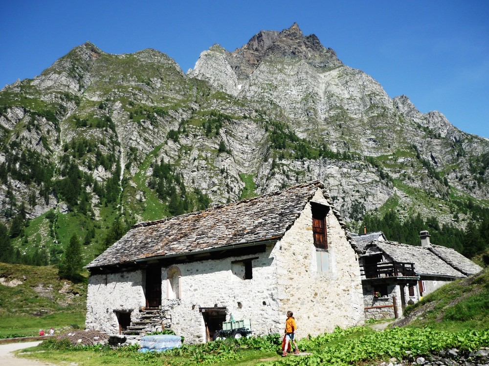 -- Thinking House ( near the clouds )