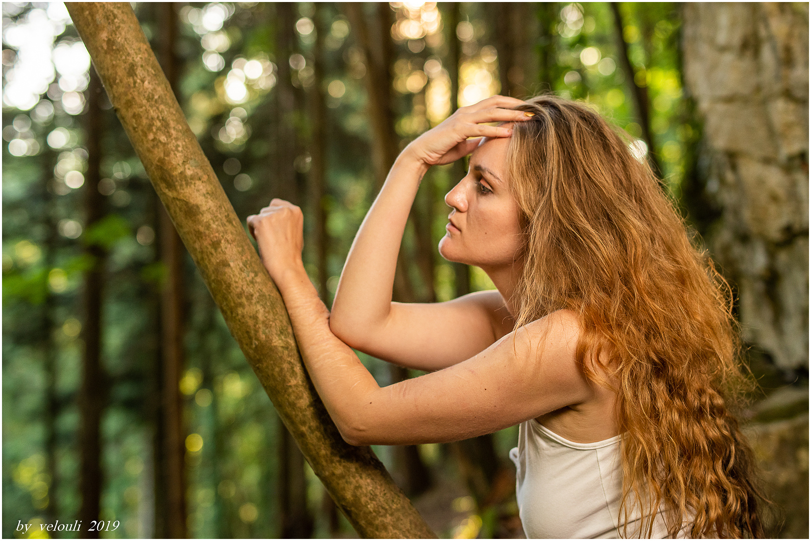 thinking in the wood