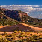 Third Dune, Coral Pink Sand Dunes SP, Utah, USA