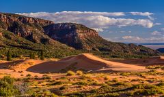 Third Dune, Coral Pink Sand Dunes SP, Utah, USA