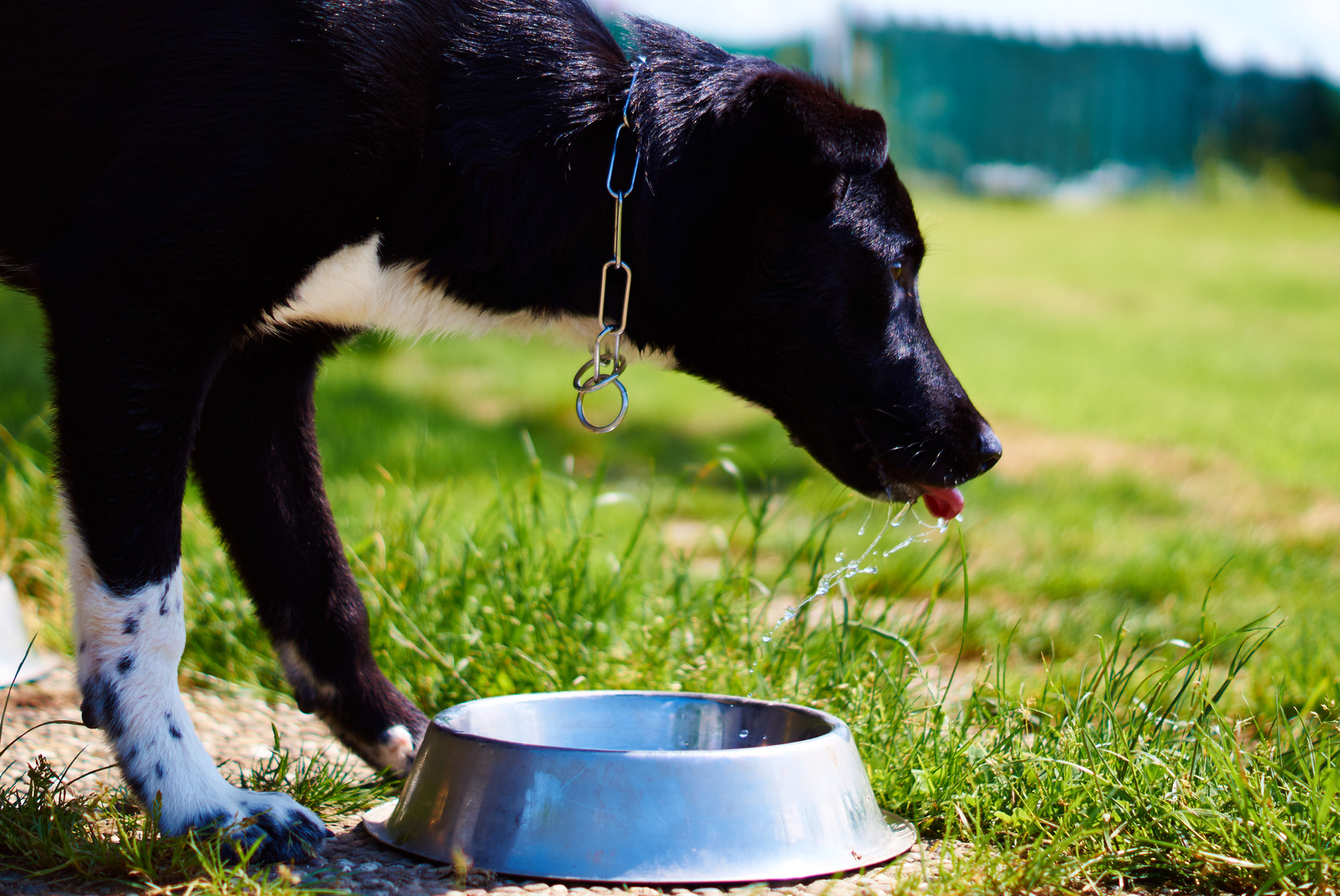 Thirsty!