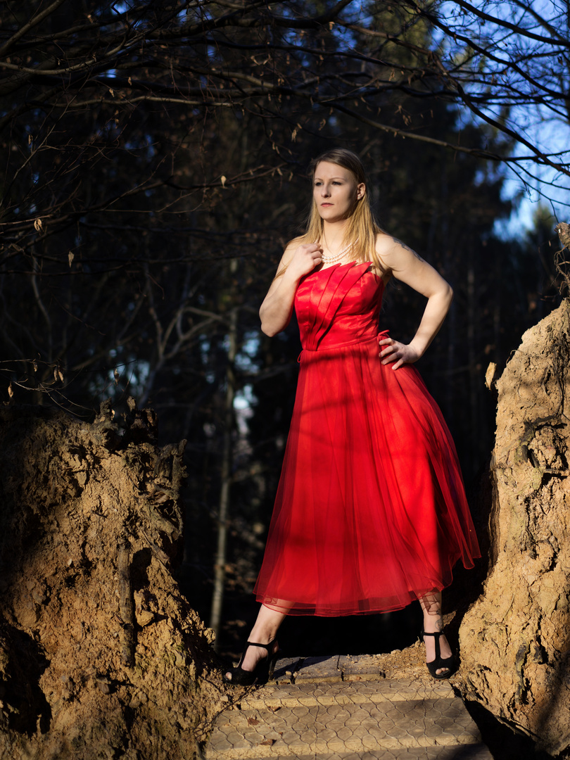 this beautiful lady in the red dress