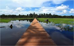 This is my Boardwalk in the Sun 