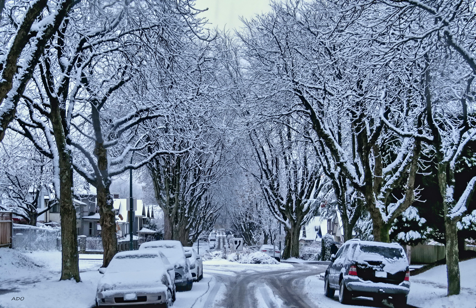  This Morning - My Snowy Street