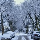  This Morning - My Snowy Street