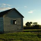 this old shed