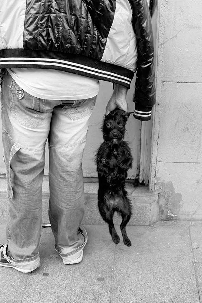 This Photo is in the Leica Master shots M Gallery.  "The dog and the poor human"