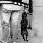 This Photo is in the Leica Master shots M Gallery.  "The dog and the poor human"