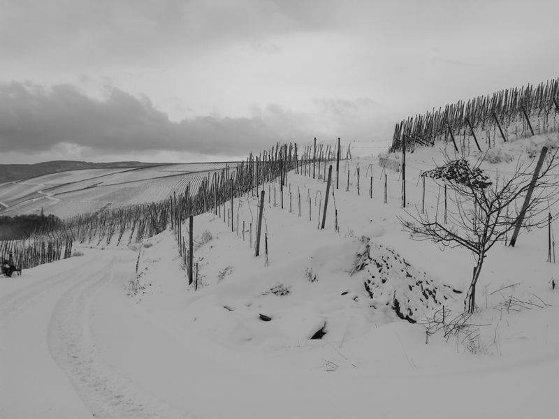 Thörnicher Enggaß im Schnee