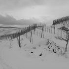 Thörnicher Enggaß im Schnee