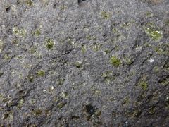 Tholeitbasalt vom Mauna Loa, Hawaii, USA - oberer Bereich der Lava