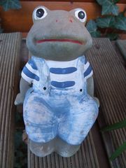 Thomas, der Frosch