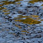 thomas-patrick-kennedy-river-reflections