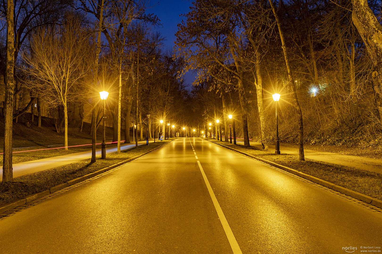 Thommstraße bei Nacht