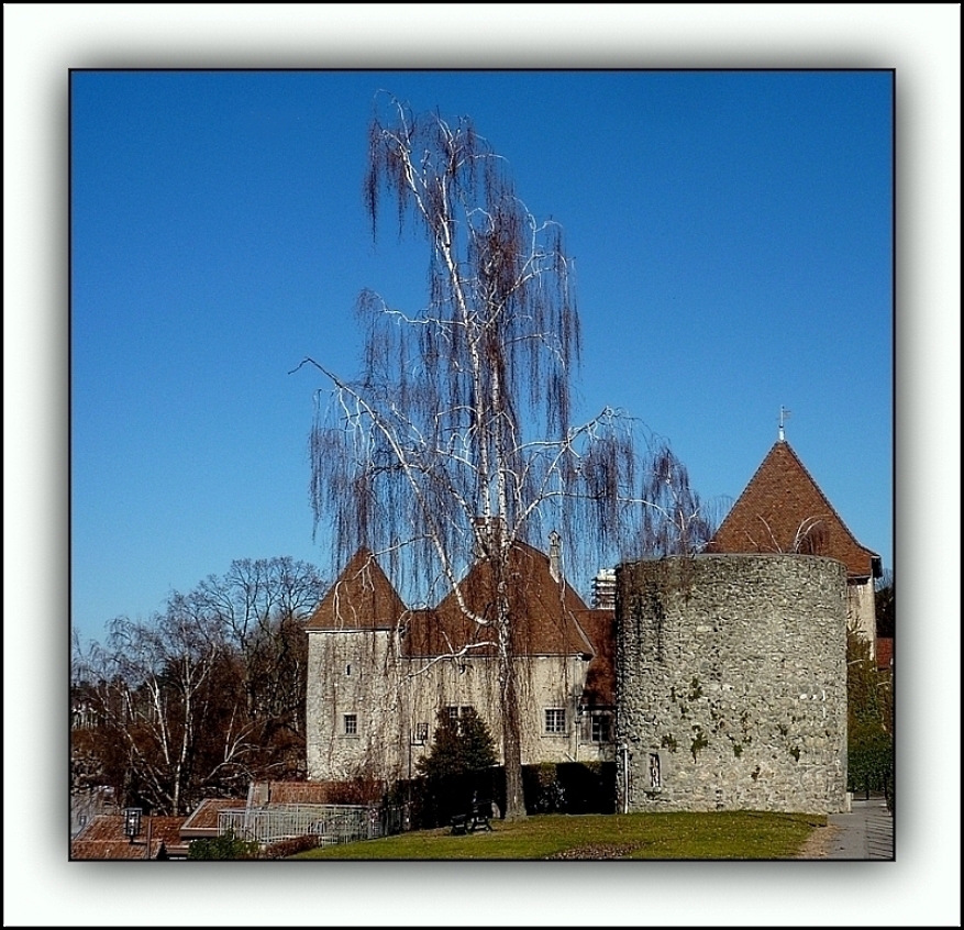 Thonon ,le Château de Rives et la Tour des Langues