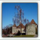 Thonon ,le Château de Rives et la Tour des Langues