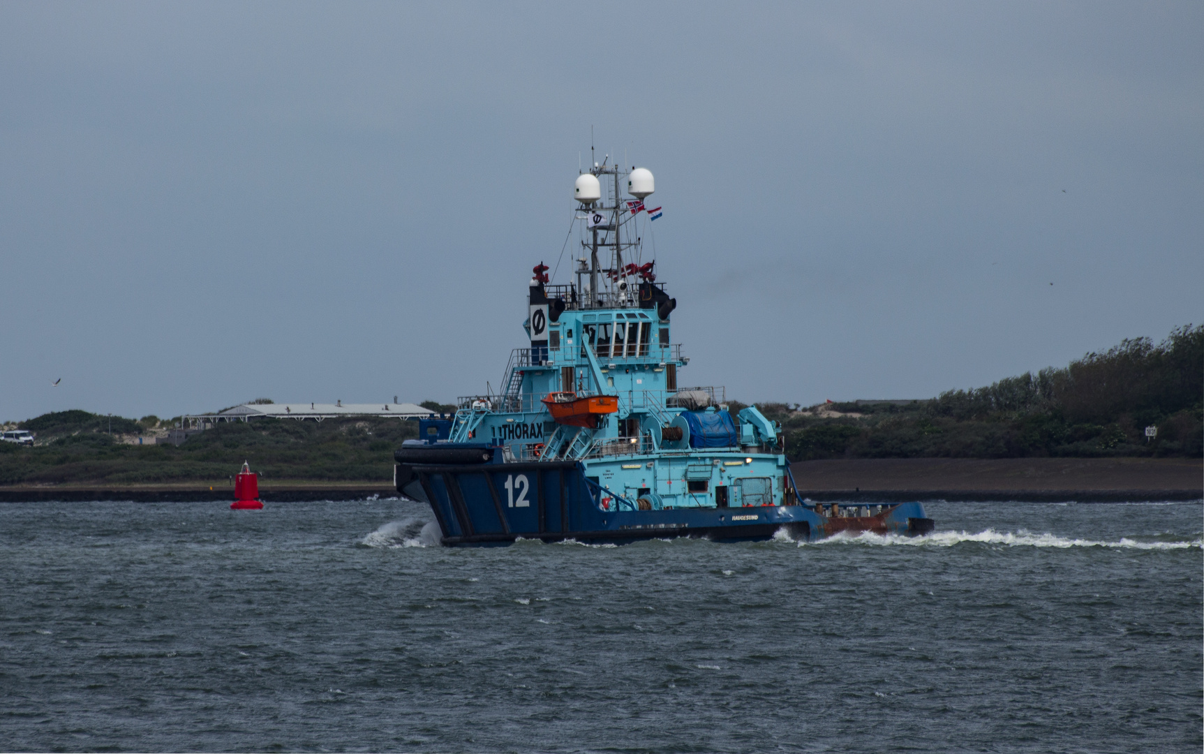 THORAX 12 / Nieuwe Maas / Rotterdam