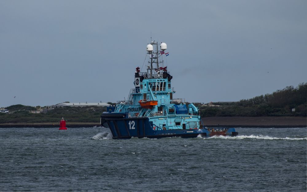 THORAX 12 / Nieuwe Maas / Rotterdam