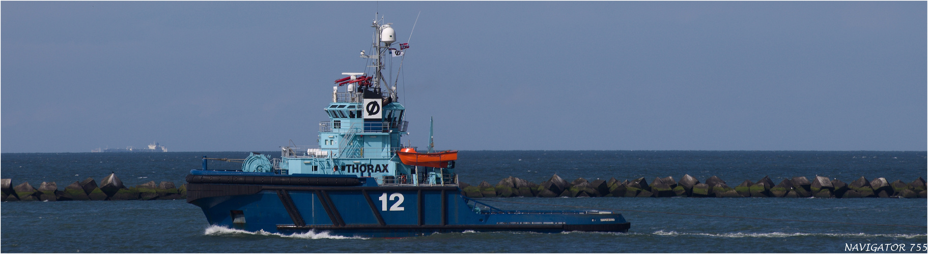 THORAX 12 / Tug / Rotterdam