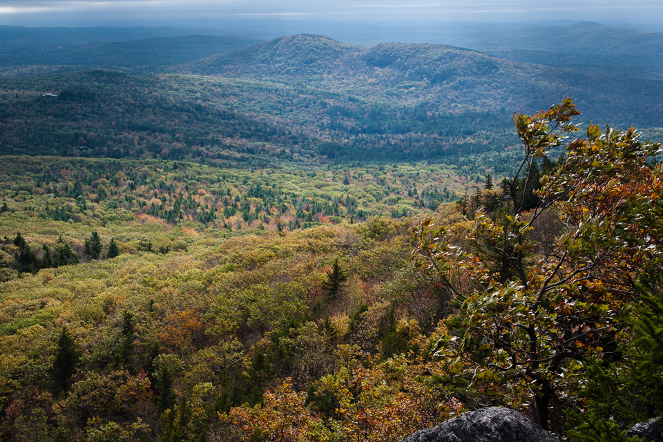 Thoreau's Seat