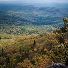 Thoreau's Seat