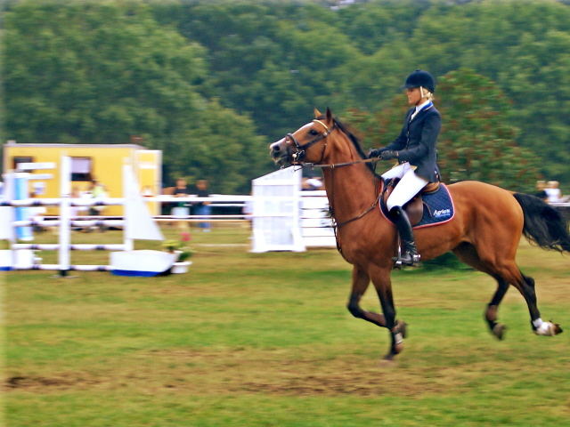 Thoreb Cup, Öland 2006