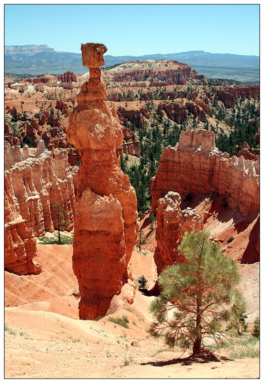 Thor's Hammer, Bryce Canyon