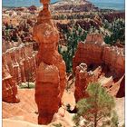 Thor's Hammer, Bryce Canyon