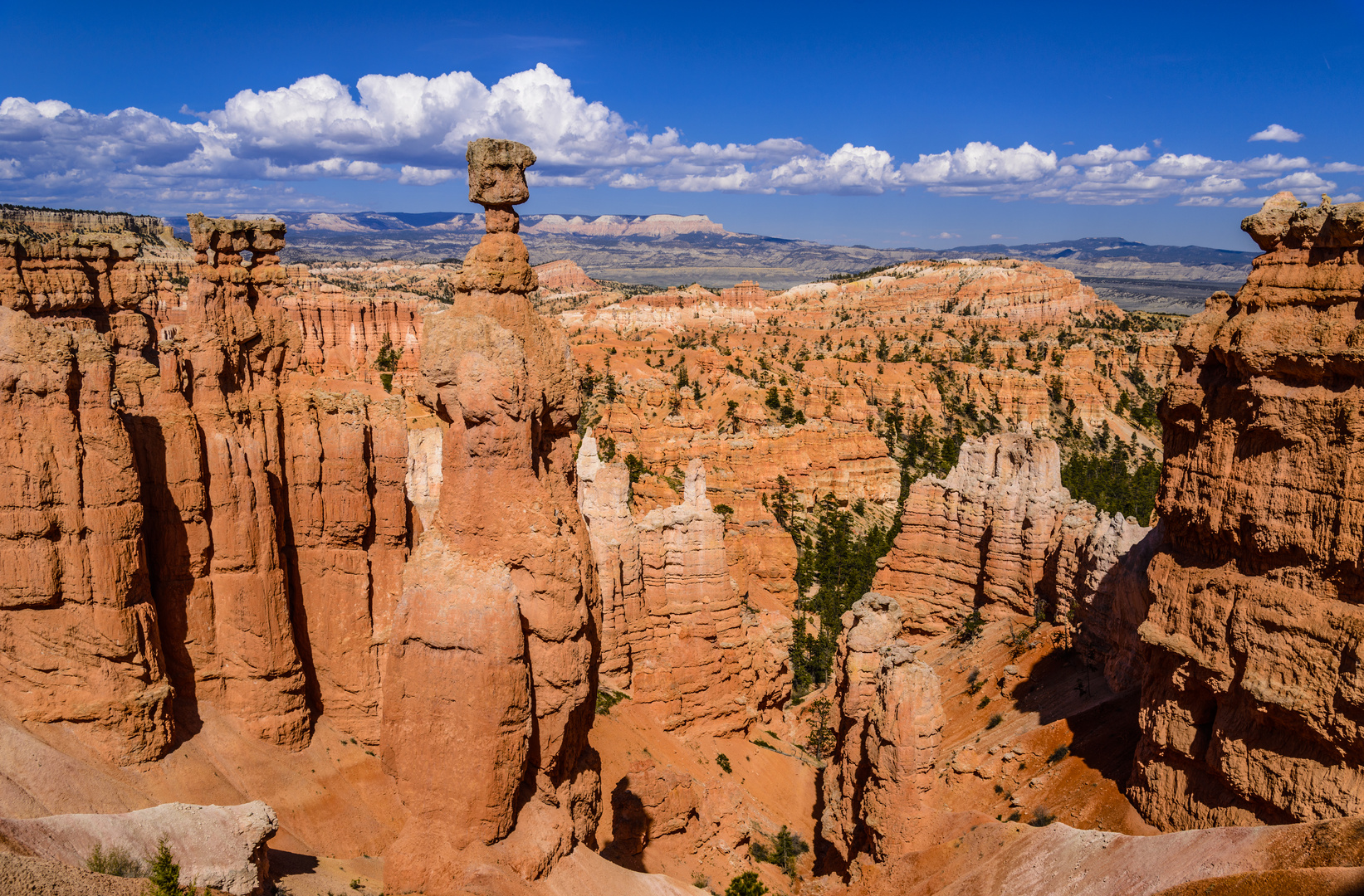 Thors Hammer, Bryce Canyon NP, Utah, USA